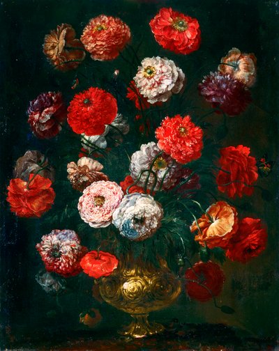 Corn poppy by Bartolomeo Bimbi